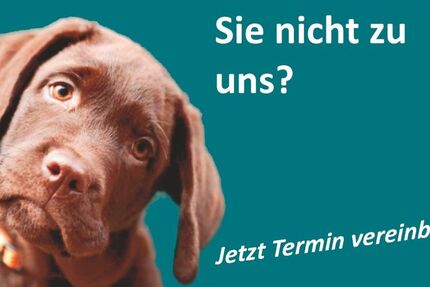 Mercedes-Benz V 250 10.636 km 69.790 &euro; Alfeld (Leine) 31061