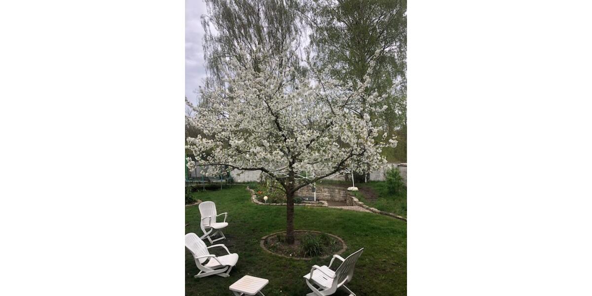 Doppelhaushälfte Hannover Misburg-Anderten - 7 Zimmer, 135 m&sup2;, 358.000&euro; | Angebot:25964108