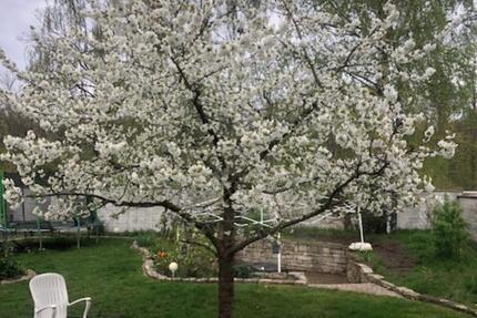 Haus Hannover Misburg-Anderten - 7 Zimmer, 135 m&sup2;, 358.000&euro; | Angebot:25964108