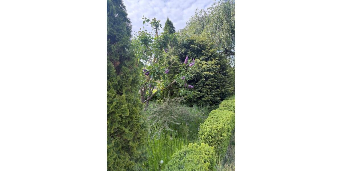 Gewerbeobjekt Giesen - 490&euro; | Angebot:24869585