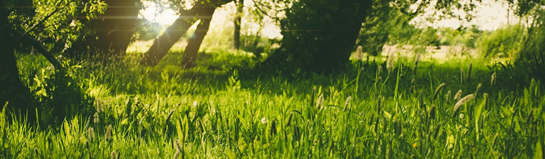 Kindererlebniswald Hildesheim Niedersachsen Wald Kinder Natur Outdoor Familie