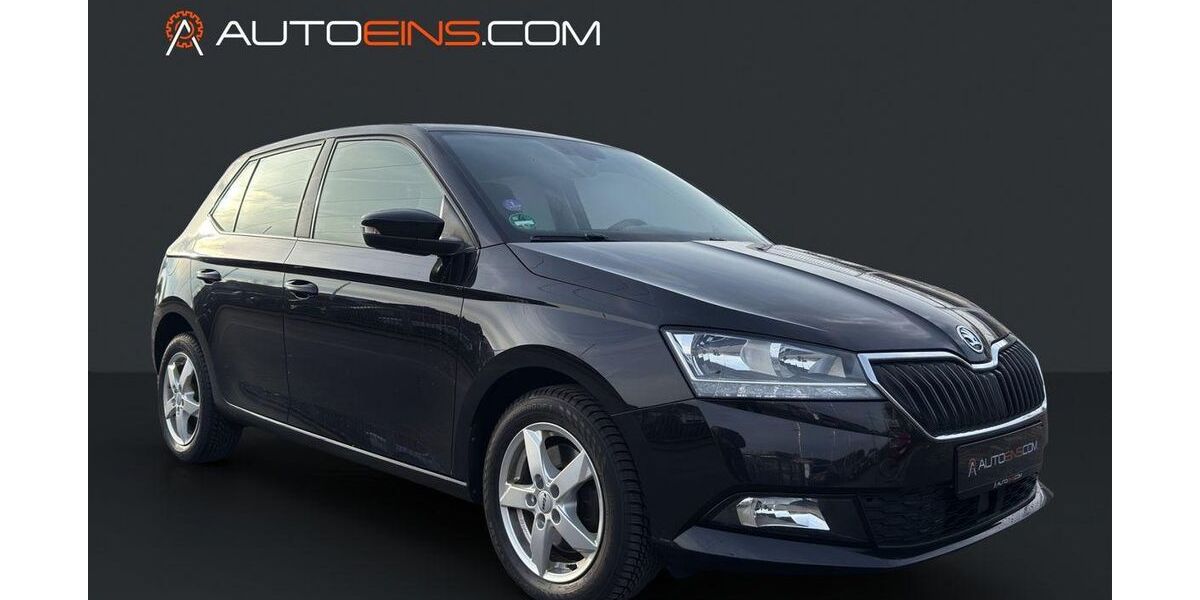 Skoda Fabia 143.568 km 9.950 &euro; Ronnenberg StT Empelde Region Hannover 30952