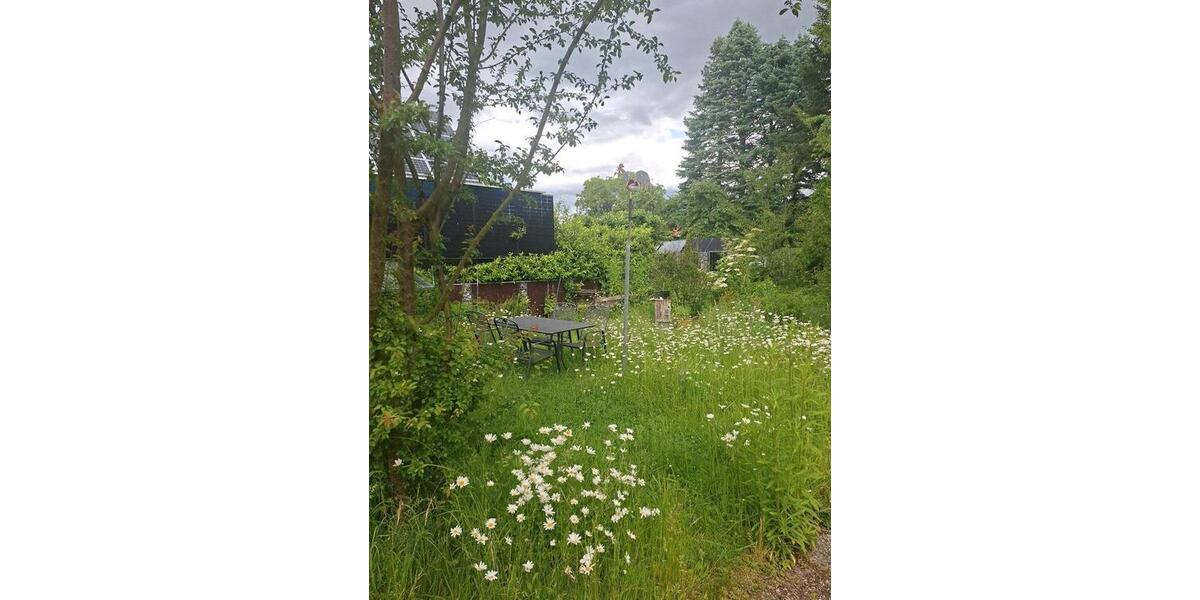 Dachgeschoßwohnung Sarstedt - 4 Zimmer, 86 m&sup2;, 50&euro; | Angebot:24408482