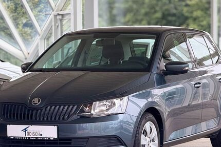 Skoda Fabia 81.808 km 8.490 &euro; Salzgitter 38228