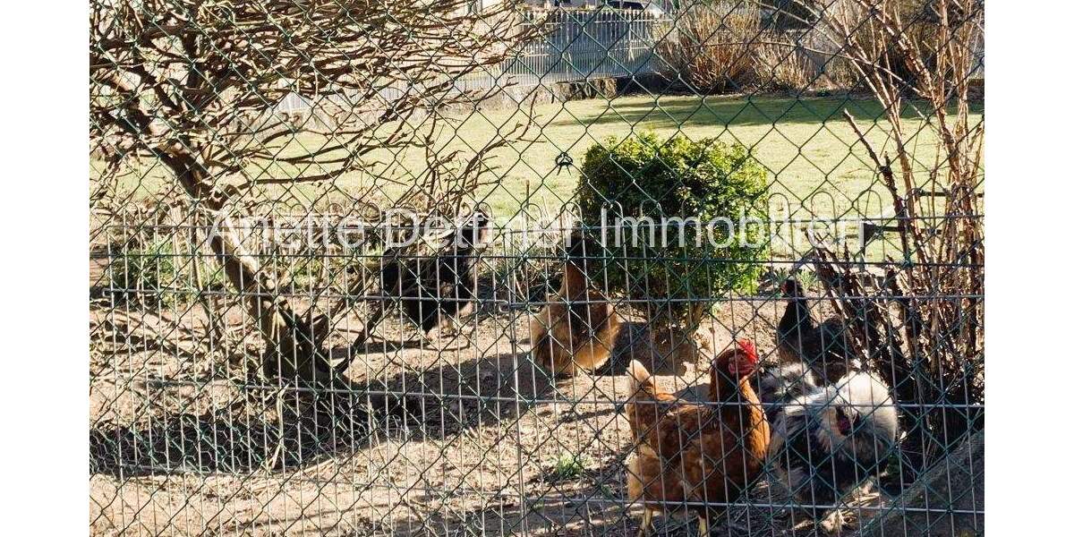 Mehrfamilienhaus, Wohnhaus Gronau (Leine) Rheden - 6 Zimmer, 221 m&sup2;, 299.000&euro; | Angebot:25695306