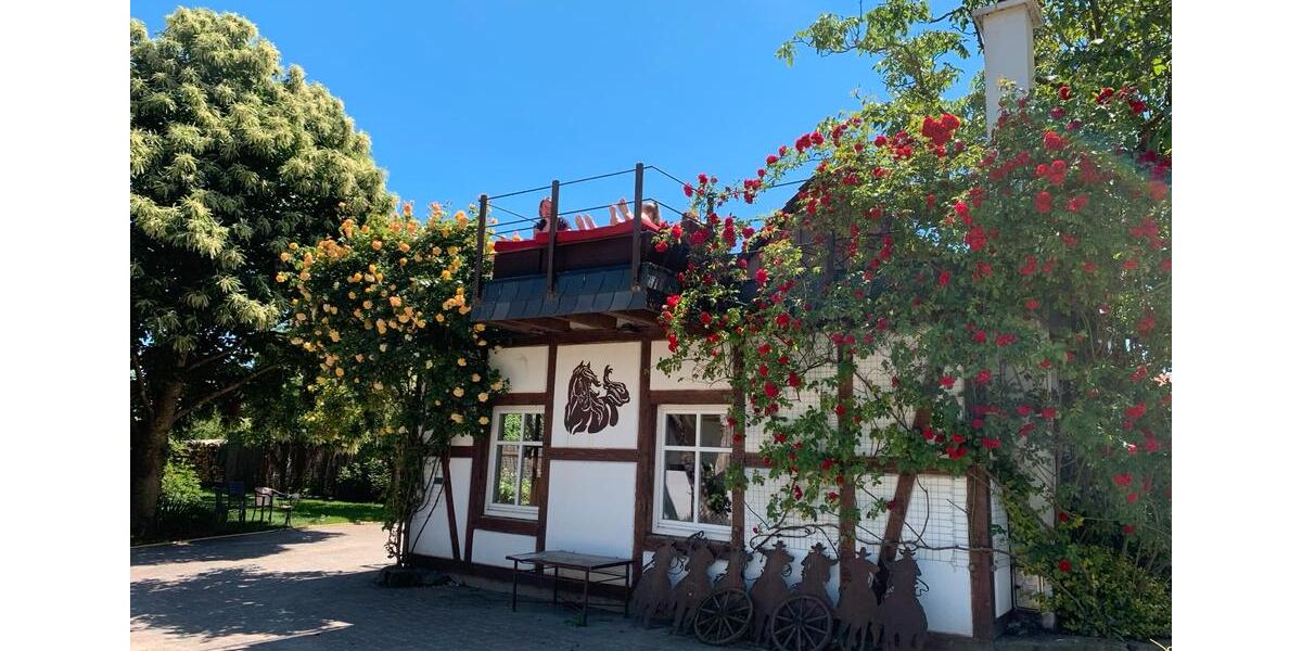 Bauernhaus, Landhaus Coppenbrügge - 10 Zimmer, 300 m&sup2;, 1.100.000&euro; | Angebot:25375986