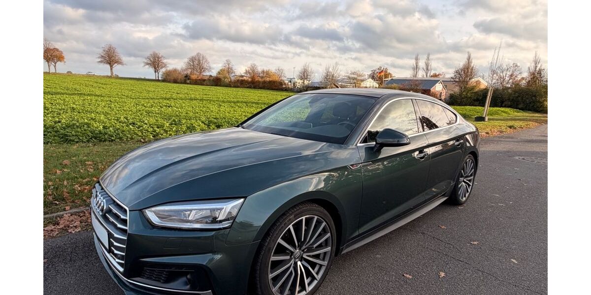 Audi A5 115.000 km 25.950 &euro; Neustadt 01844