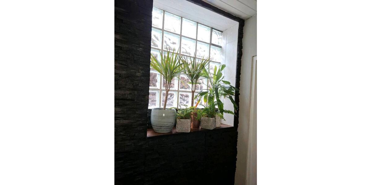 Einfamilienhaus Hildesheim Himmelsthür - 4.5 Zimmer, 250 m&sup2;, 169.000&euro; | Angebot:25991866