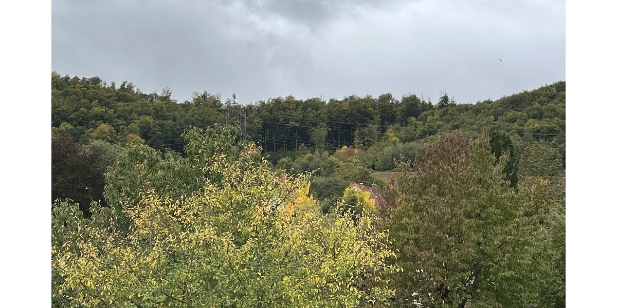 Charmant und mit Ausblick - Einfamilienhaus Alfeld | Angebot:23182806