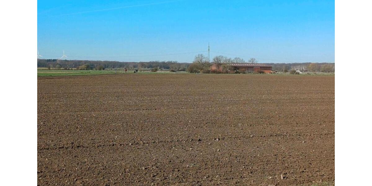 Erdgeschoßwohnung Peine Peine Kernstadt - 4.5 Zimmer, 122 m&sup2;, 1.464&euro; | Angebot:25646605