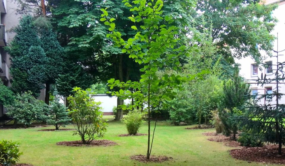 Etagenwohnung Hannover Linden-Limmer - 2 Zimmer, 60 m&sup2;, 475&euro; | Angebot:25963596