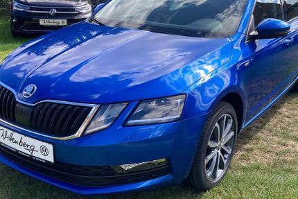 Skoda Octavia 79.420 km 19.990 &euro; Hohenhameln 31249