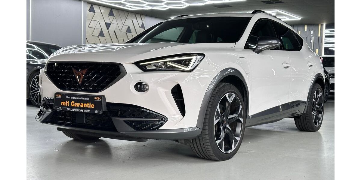 Cupra Formentor 78.000 km 23.590 &euro; Peine 31226