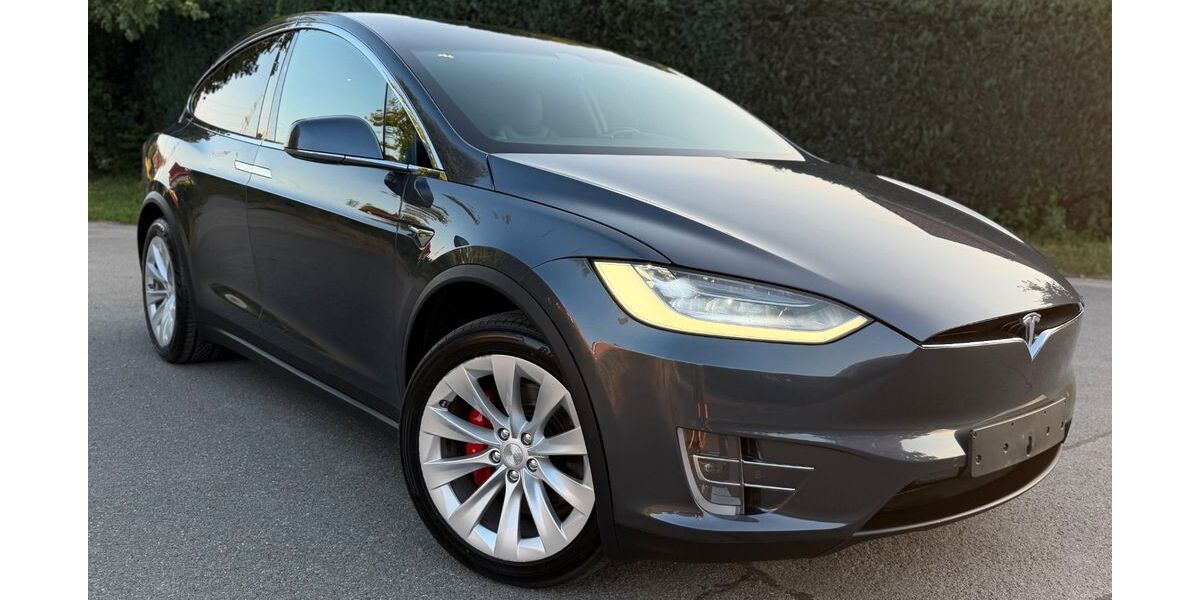 Tesla Model X 204.100 km 37.750 &euro; Sehnde 31319