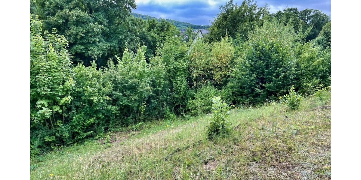 Grünenplan: Individuelles Wohnen - Zweifamilienhaus Grünenplan Grünenplan | Angebot:21568315