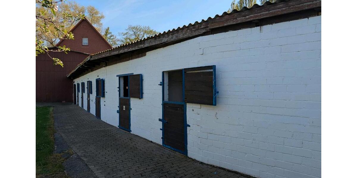 Mehrfamilienhaus, Wohnhaus Salzgitter Ortschaft Nord - 44 Zimmer, 400 m&sup2;, 590.000&euro; | Angebot:23512774