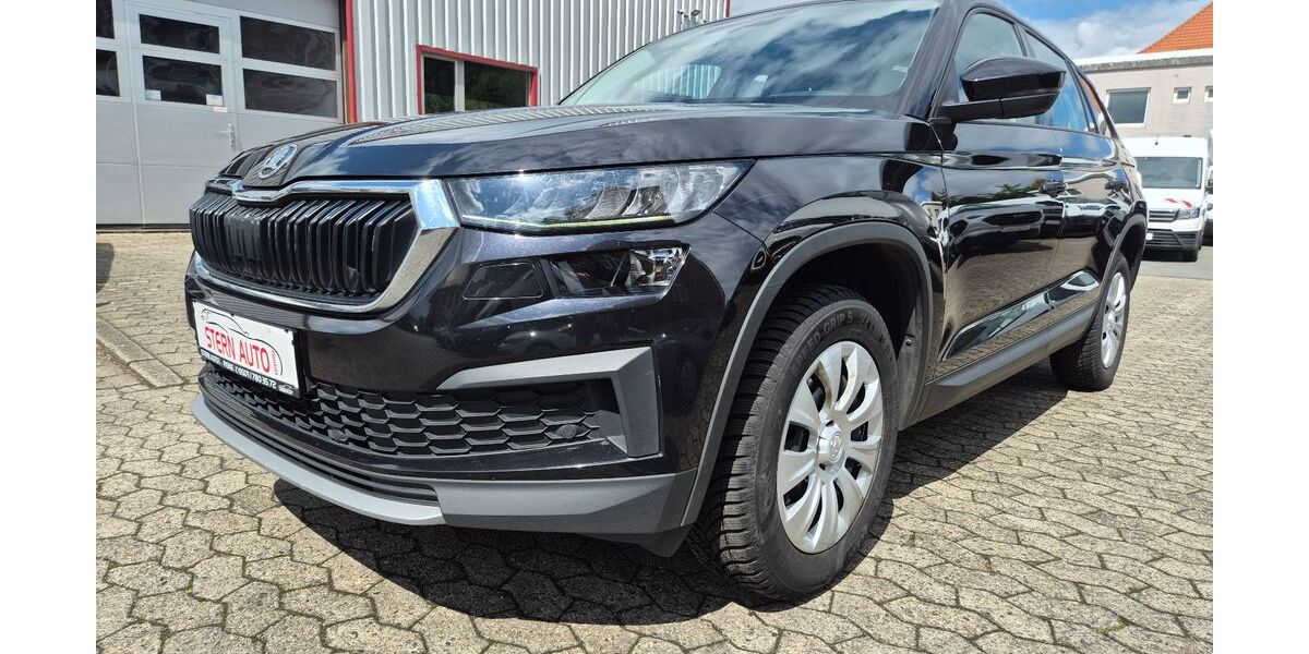 Skoda Kodiaq 212.500 km 18.999 &euro; Peine 31226
