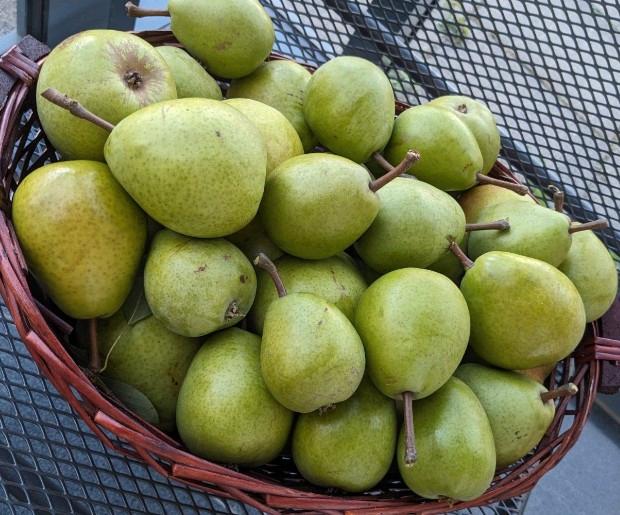 Etagenwohnung Lehrte - 2 Zimmer, 67 m&sup2;, 800&euro; | Angebot:20169640