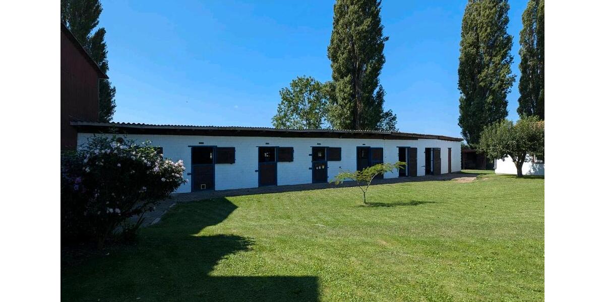 Mehrfamilienhaus, Wohnhaus Salzgitter Ortschaft Nord - 44 Zimmer, 400 m&sup2;, 670.000&euro; | Angebot:23512774