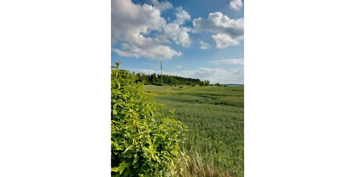 Einfamilienhaus Baddeckenstedt - 6 Zimmer, 255.000&euro; | Angebot:23273550