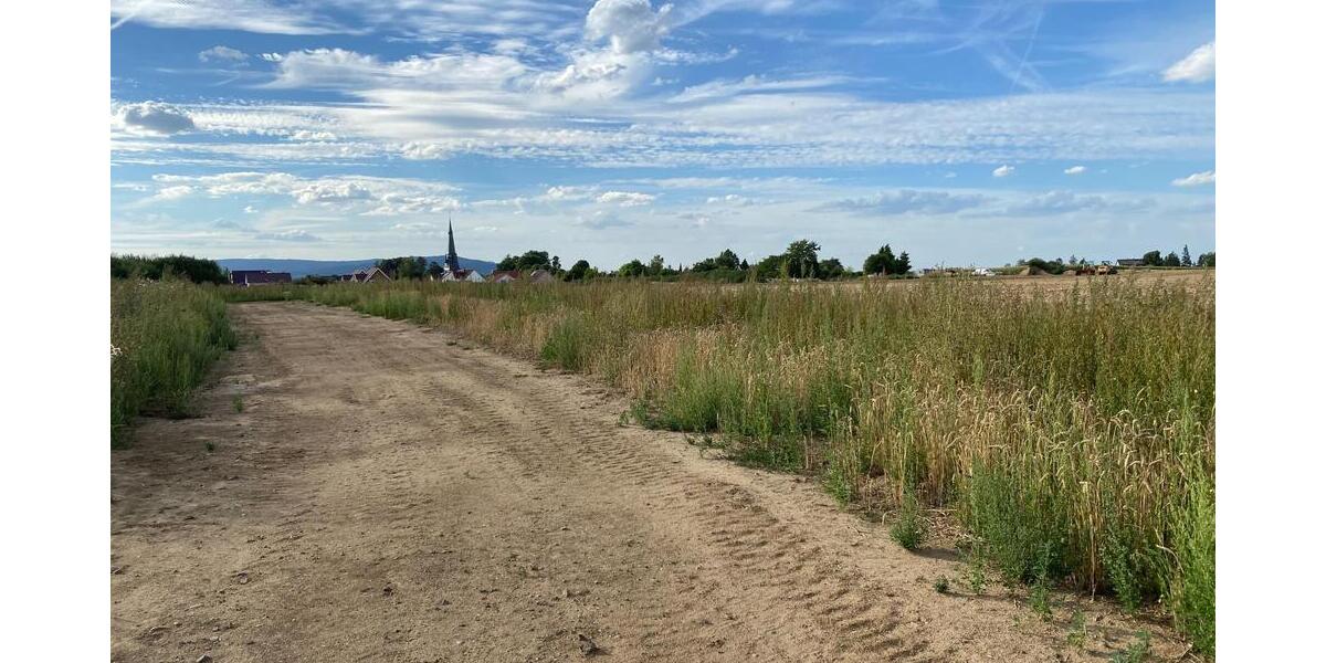 Baugrundstücke ab 80.050,- EUR - Grundstück Eime | Angebot:8546581