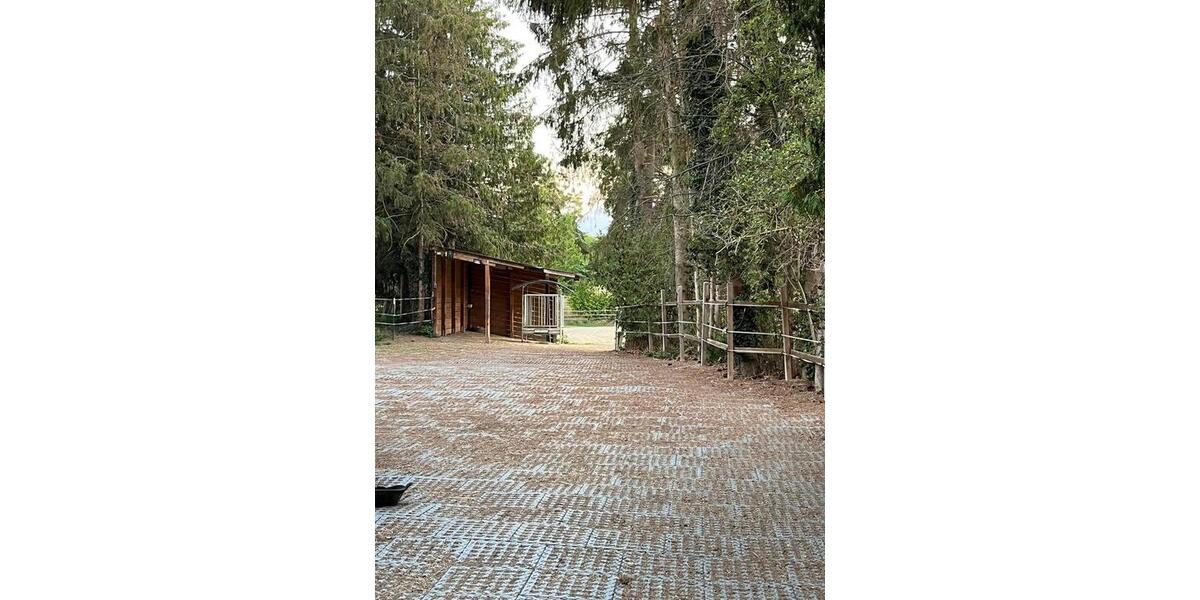 Mehrfamilienhaus, Wohnhaus Bockenem - 10 Zimmer, 310 m&sup2;, 460.000&euro; | Angebot:25636613