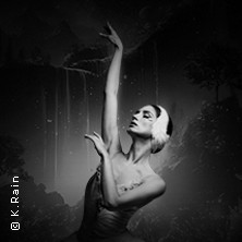 Grand Classic Ballet - Schwanensee - Jenseits der Bühne mit live Streichquartett 19.09.2026 halle39