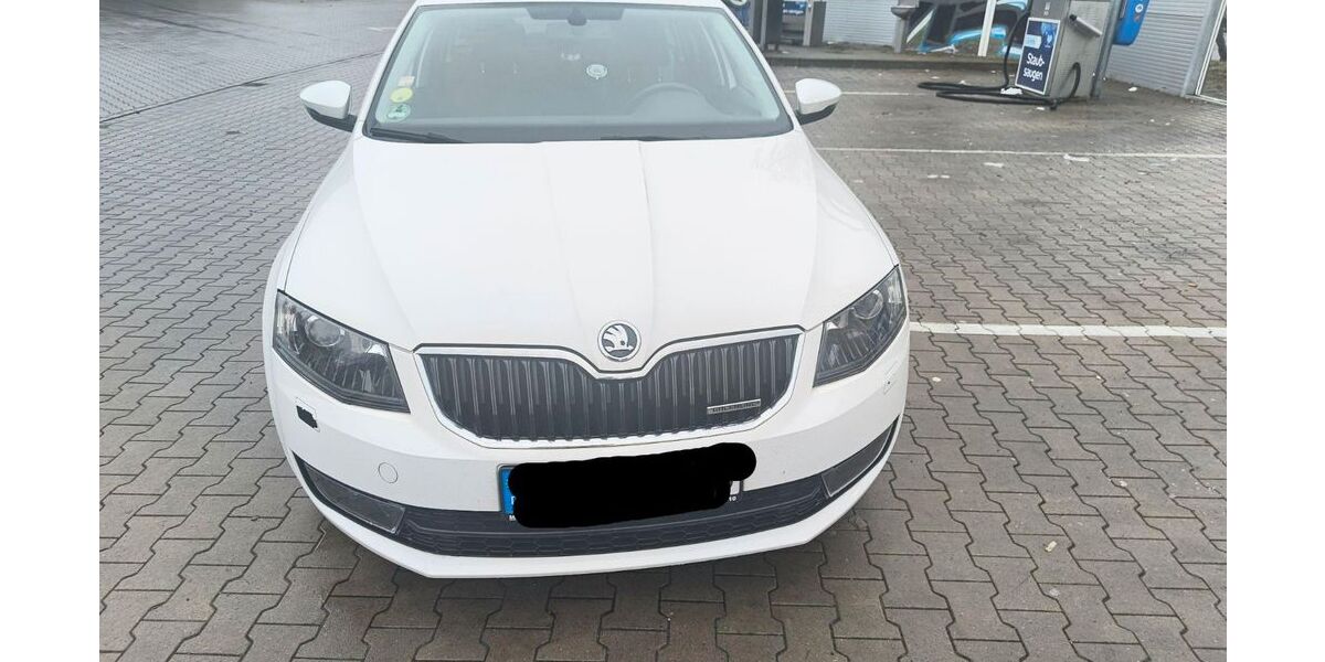 Skoda Octavia 167.000 km 8.000 &euro; Bad Salzdetfurth 31162
