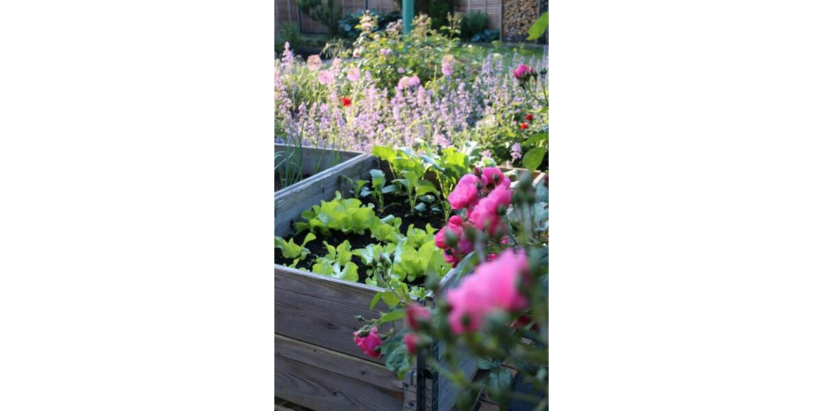 Einfamilienhaus Sehnde - 6 Zimmer, 140 m&sup2;, 580.000&euro; | Angebot:26029566