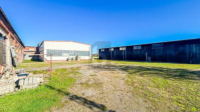HALLENKOMPLEX MIT FREIFLÄCHEN UND WIESE - Gewerbeobjekt Ilsede | Angebot:27082312