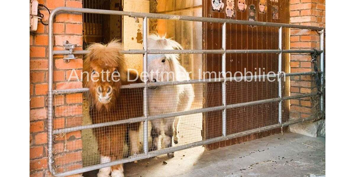 Mehrfamilienhaus, Wohnhaus Gronau (Leine) Rheden - 6 Zimmer, 221 m&sup2;, 299.000&euro; | Angebot:25695306