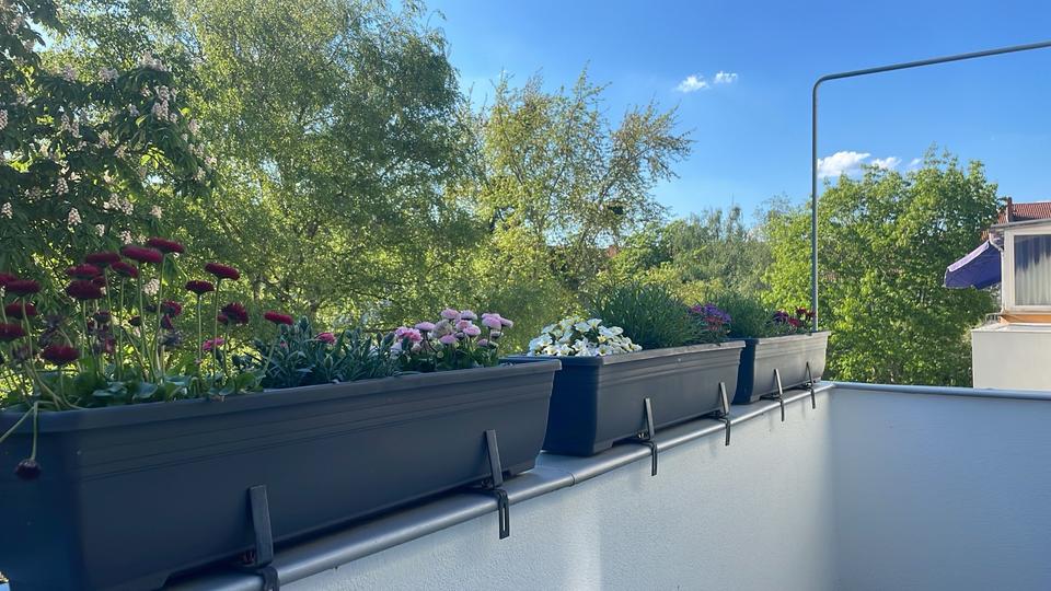 Etagenwohnung Hannover Mitte - 3 Zimmer, 76 m&sup2;, 349.000&euro; | Angebot:25853150