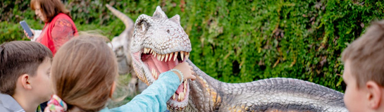 Kids-Dinoworld Hildesheim Niedersachsen Dinos Kinder Indoor Erlebnis Familie