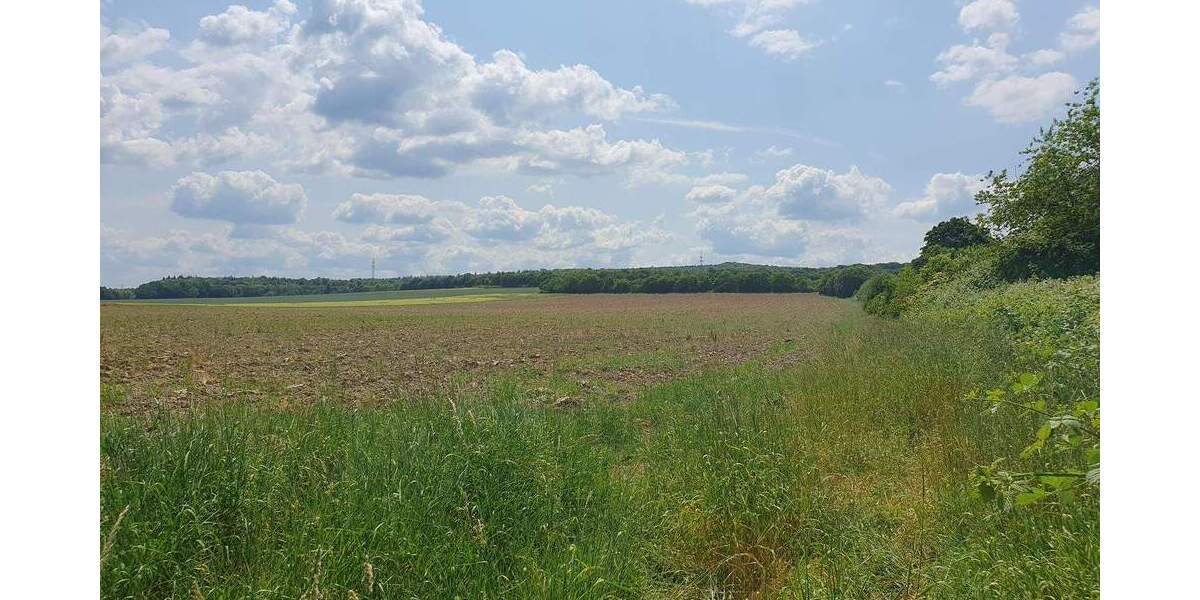 Einfamilienhaus Salzgitter Salder - 5 Zimmer, 124 m&sup2;, 337.850&euro; | Angebot:25727173