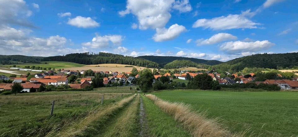 Einfamilienhaus Freden (Leine) - 8 Zimmer, 160 m&sup2;, 139.000&euro; | Angebot:25903959