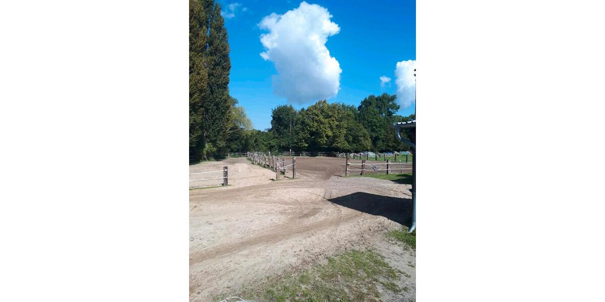 Mehrfamilienhaus, Wohnhaus Salzgitter Ortschaft Nord - 44 Zimmer, 400 m&sup2;, 590.000&euro; | Angebot:23512774