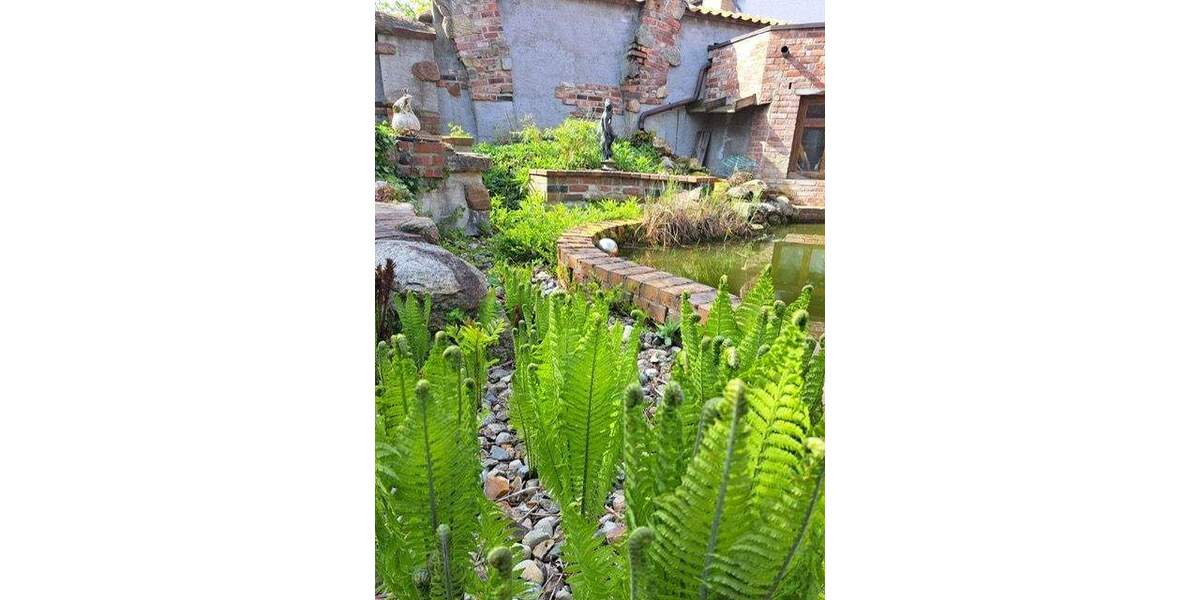 Bauernhaus, Landhaus Equord Equord - 1 Zimmer, 350 m&sup2;, 795.000&euro; | Angebot:25746347