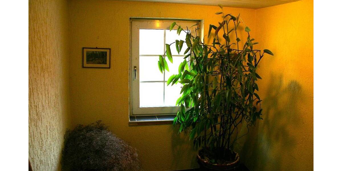 Mehrfamilienhaus, Wohnhaus Delligsen - 2 Zimmer, 500 m&sup2;, 190.000&euro; | Angebot:26036937