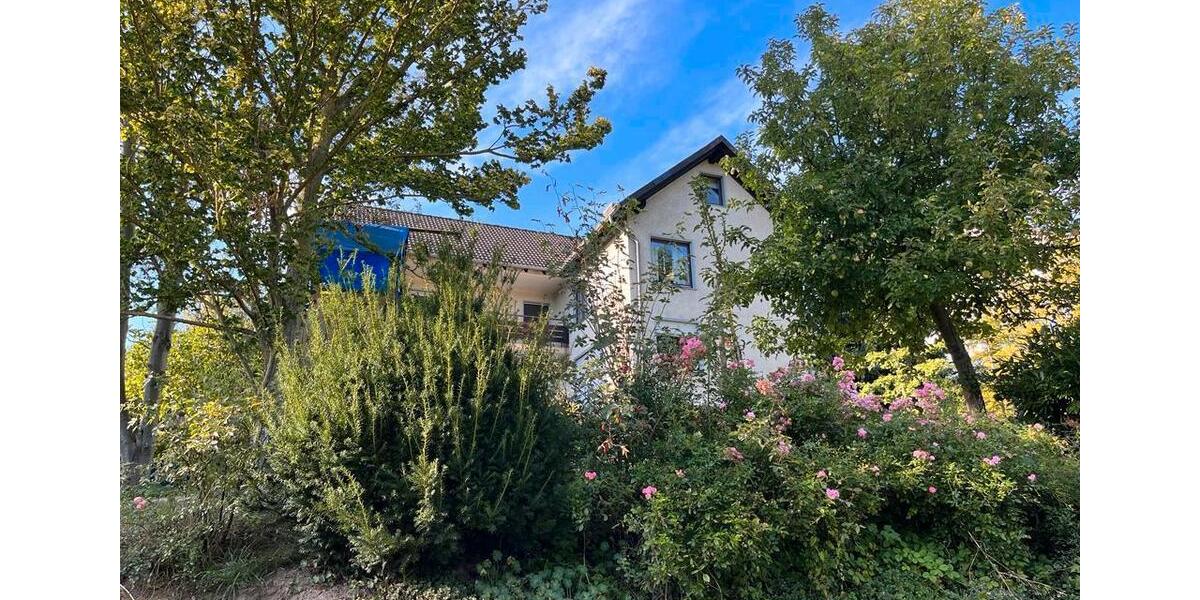 Einfamilienhaus Elze - 345.000&euro; | Angebot:26699006