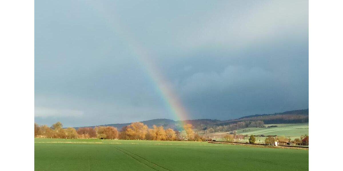 Etagenwohnung Bad Salzdetfurth - 4 Zimmer, 106 m&sup2;, 750&euro; | Angebot:25650355