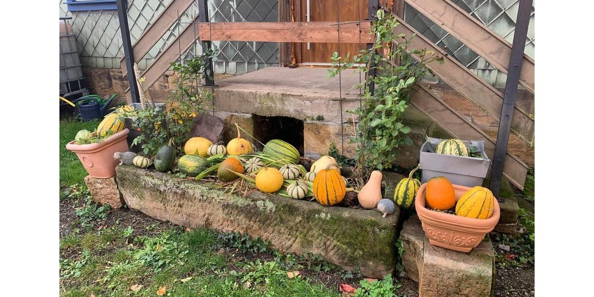 Mehrfamilienhaus, Wohnhaus Bockenem - 10 Zimmer, 310 m&sup2;, 460.000&euro; | Angebot:25636613