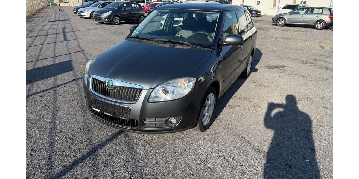 Skoda Fabia 124.310 km 3.990 &euro; Salzgitter 38229
