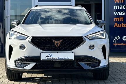 Cupra Formentor 45.381 km 22.950 &euro; Salzgitter 38229
