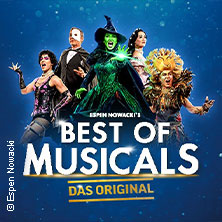 Best of Musicals - Highlights aus über 20 Musicals 20.01.2027 Theater am Aegi