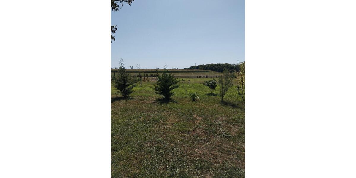 Einfamilienhaus Giesen - 4 Zimmer, 120 m&sup2;, 182.000&euro; | Angebot:25367251