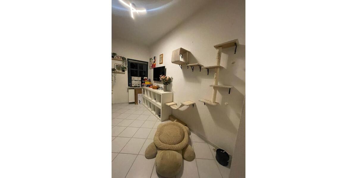 Dachgeschoßwohnung Springe - 2 Zimmer, 52 m&sup2;, 650&euro; | Angebot:25421691