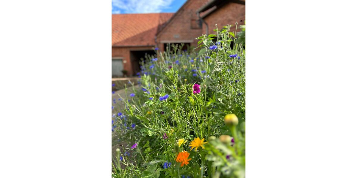 Erdgeschoßwohnung Wennigsen (Deister) - 1.5 Zimmer, 35 m&sup2;, 520&euro; | Angebot:25719849