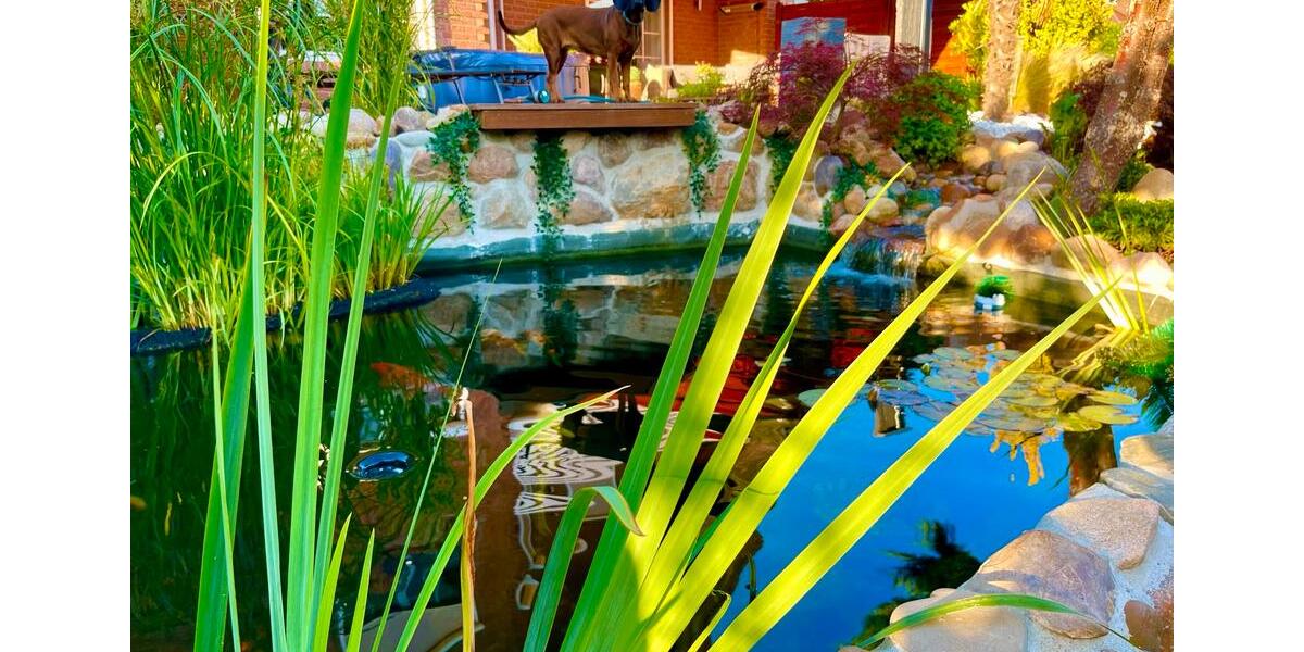 Einfamilienhaus Hildesheim Itzum-Marienburg - 4 Zimmer, 140 m&sup2;, 690.000&euro; | Angebot:25422618