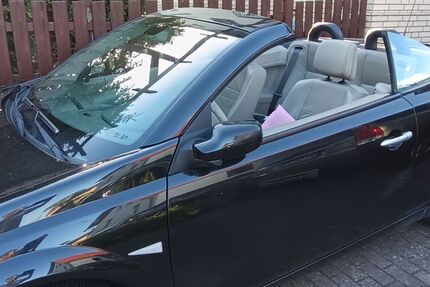 Renault Megane 248.000 km 1.750 &euro; Ilsede 31246