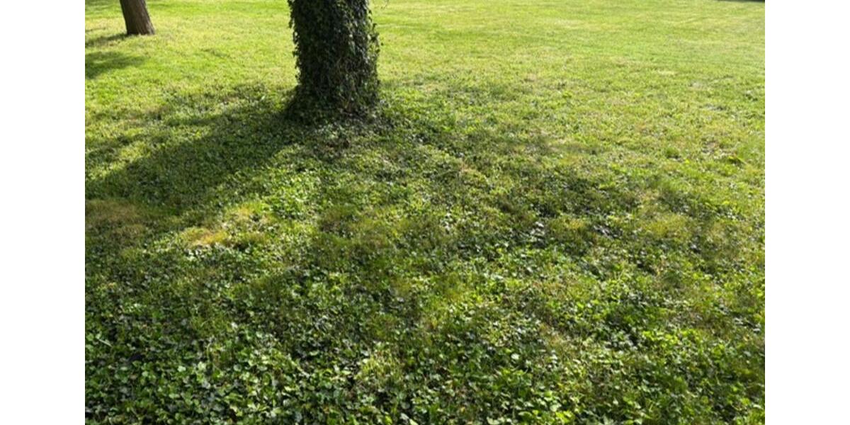 Gewerbeobjekt Giesen - 490&euro; | Angebot:24869585